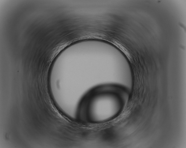 X0000091960485200709061103