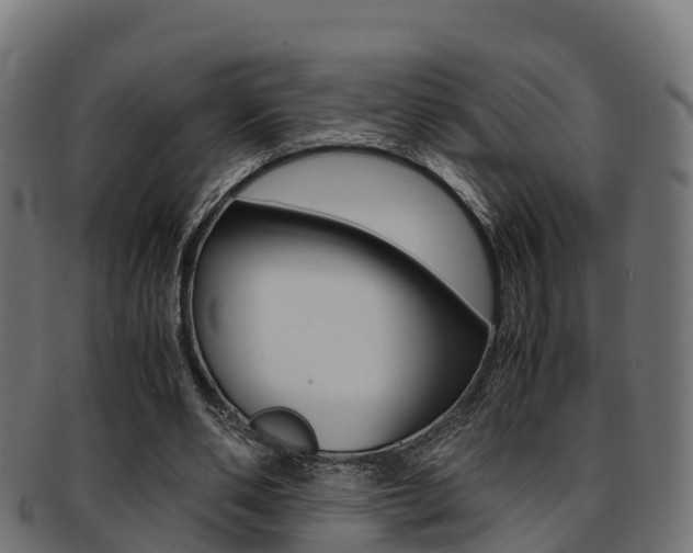X0000091960486200709061103