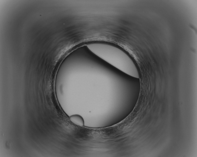 X0000091960487200709061103