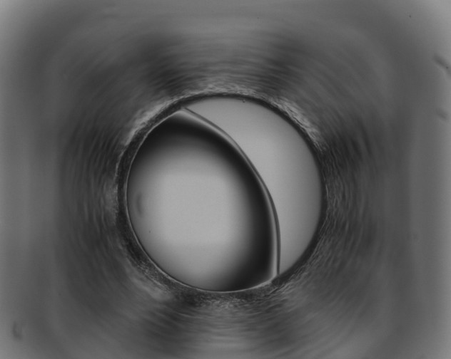 X0000091960488200709061103