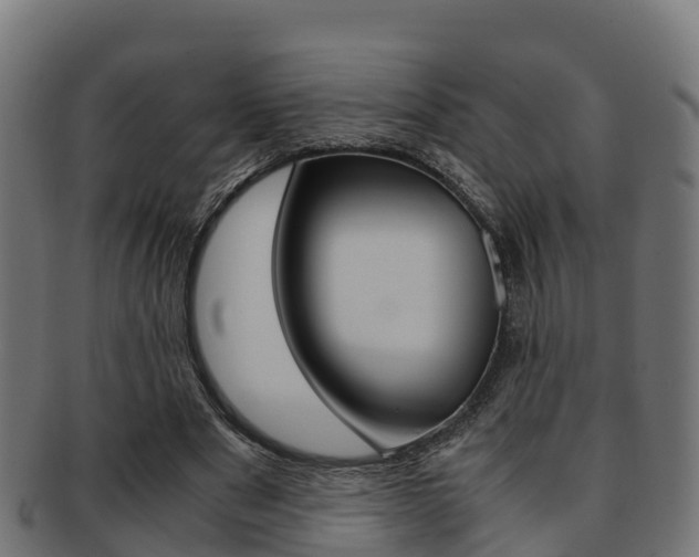 X0000091960489200709061103