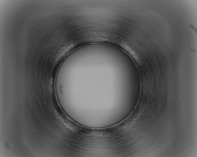 X0000091960490200709061103