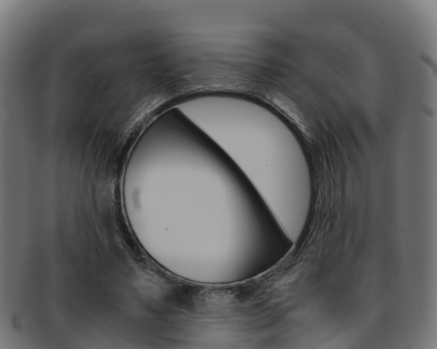 X0000091960491200709061103