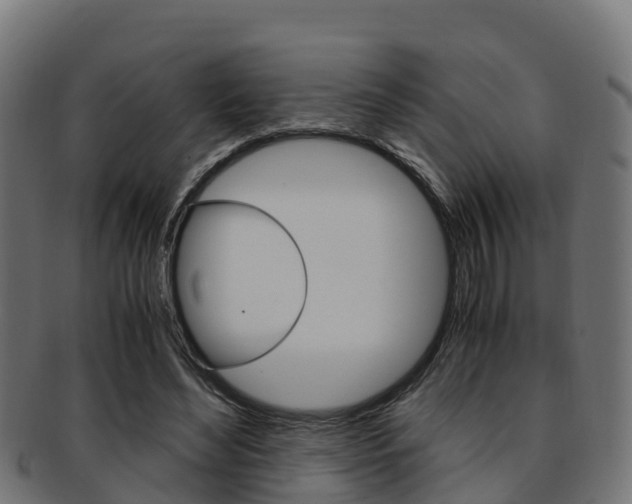 X0000091960492200709061103