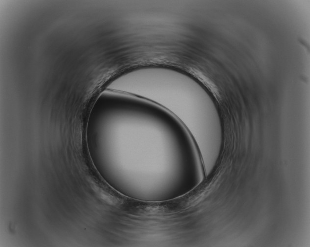 X0000091960493200709061103