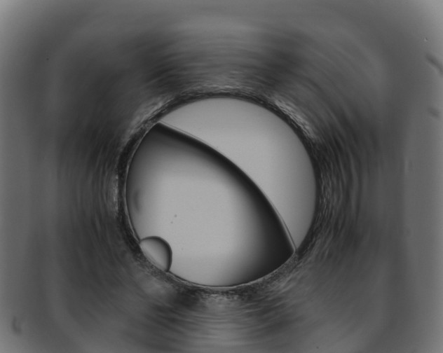 X0000091960494200709061103
