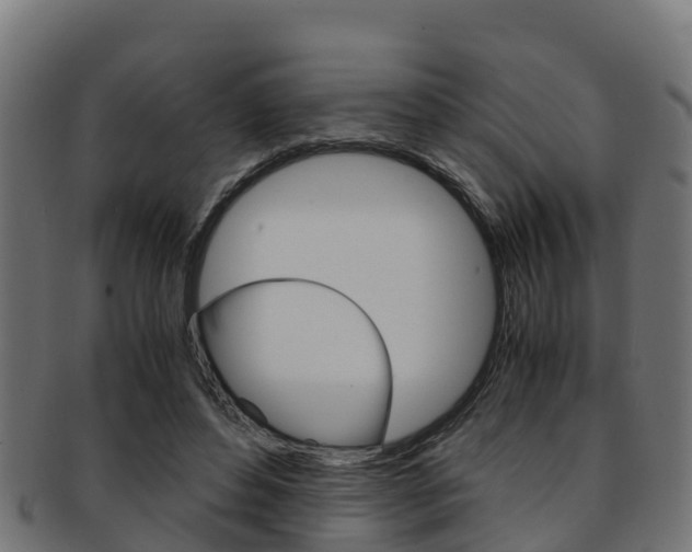 X0000091960496200709061103