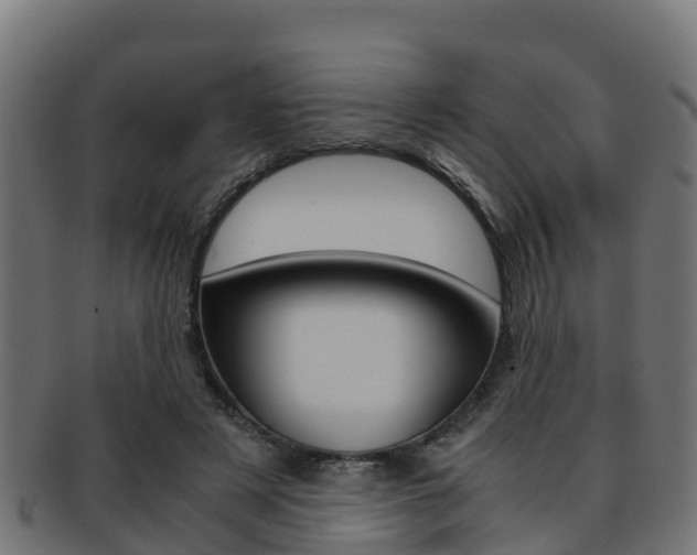 X0000091960497200709061103