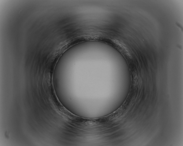 X0000091960498200709061103