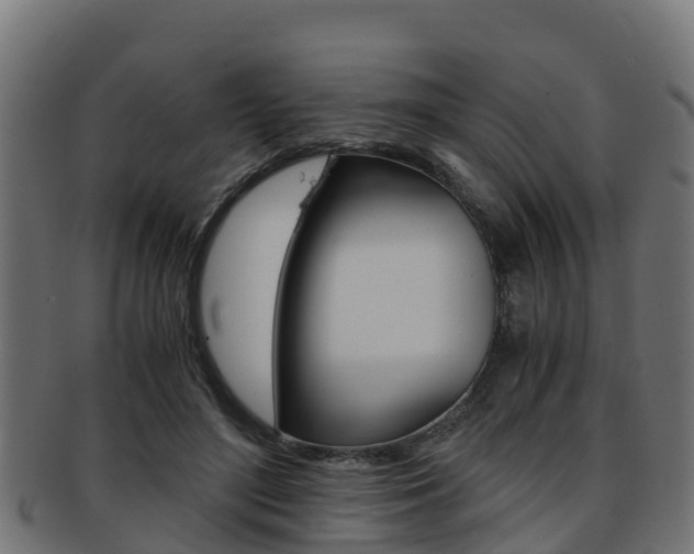 X0000091960500200709061103