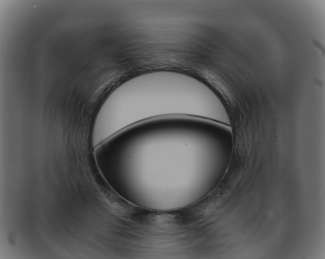X0000091960501200709061103