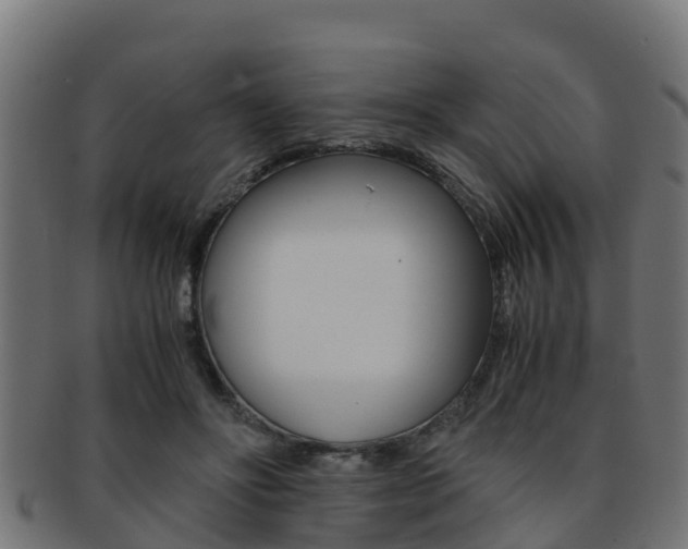 X0000091960502200709061103