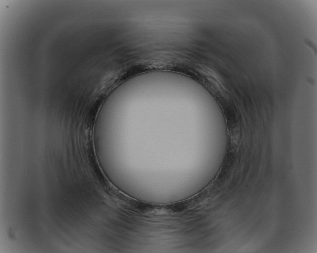 X0000091960503200709061103