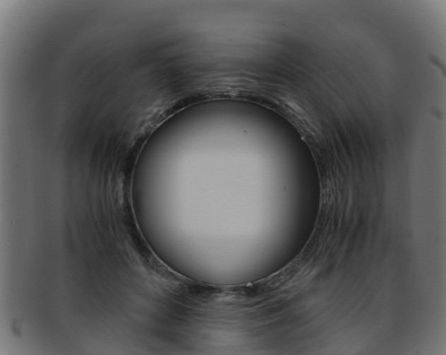 X0000091960504200709061103