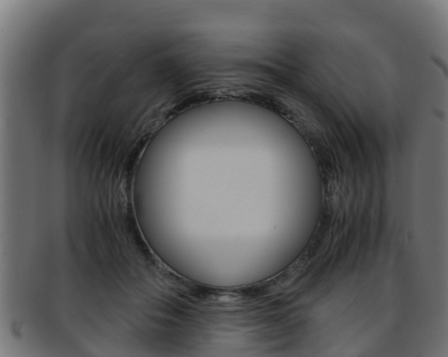 X0000091960506200709061103