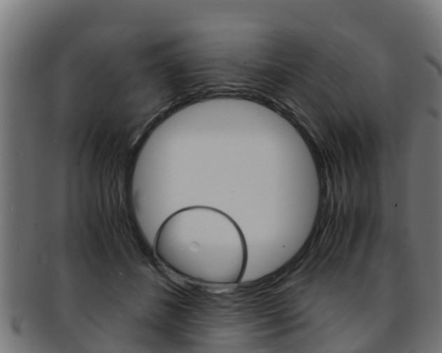 X0000091960508200709061103