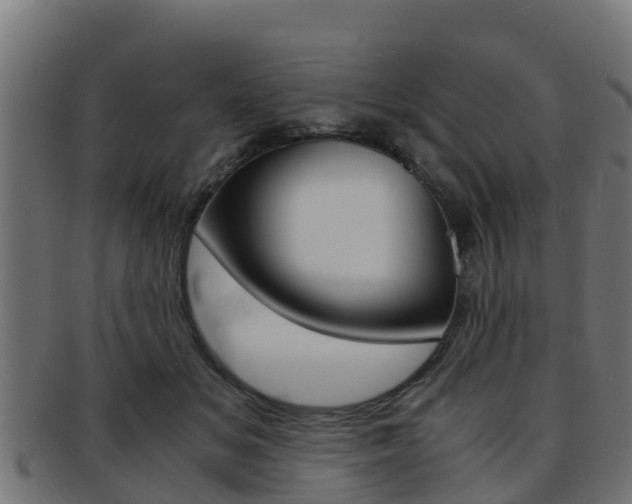 X0000091960509200709061103