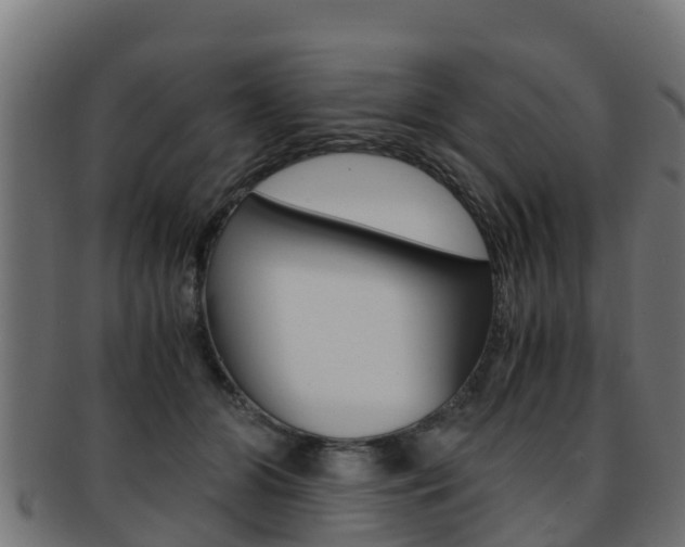 X0000091960510200709061103