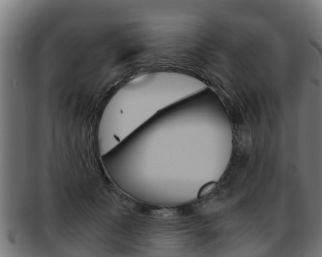 X0000091960511200709061103