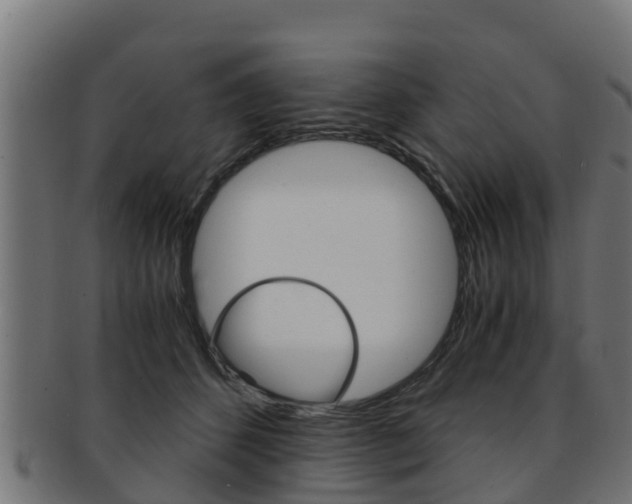 X0000091960512200709061103