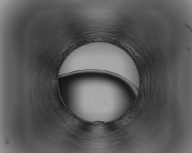 X0000091960513200709061103