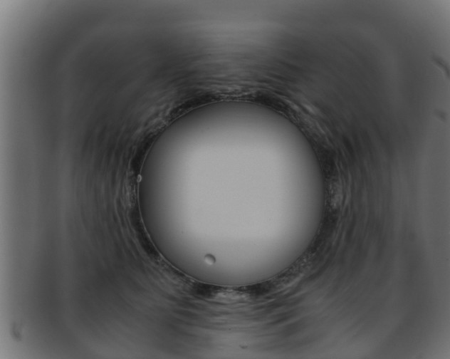 X0000091960515200709061103
