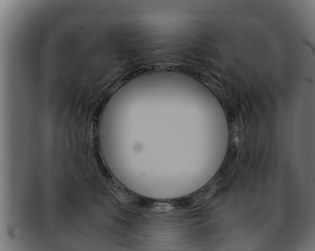 X0000091960519200709061103