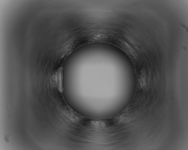X0000091960520200709061103