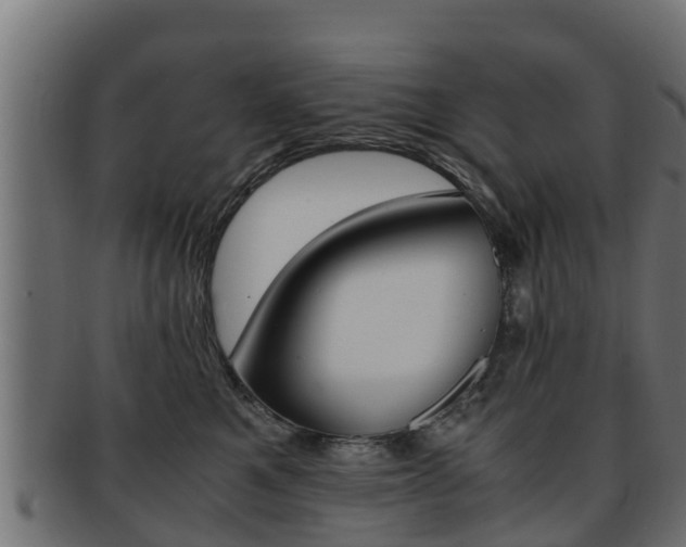 X0000091960521200709061103
