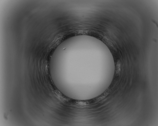 X0000091960522200709061103