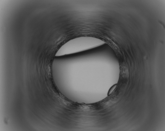 X0000091960523200709061103