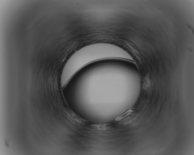 X0000091960524200709061103
