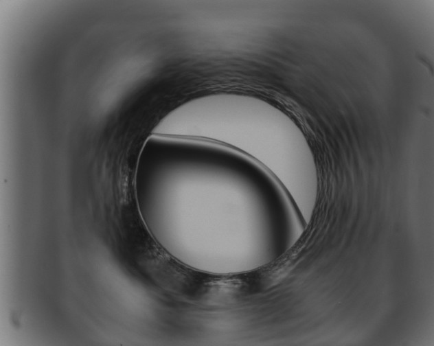 X0000091960525200709061103