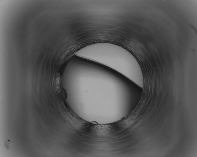 X0000091960526200709061103