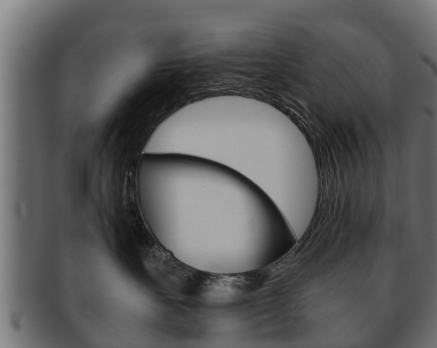 X0000091960527200709061103