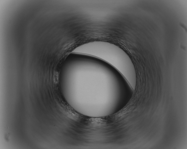 X0000091960528200709061103