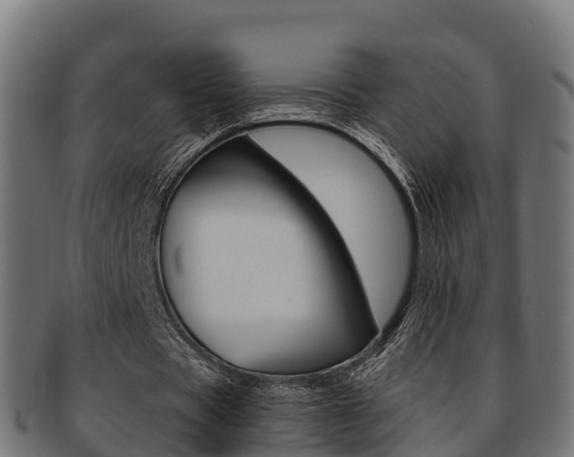 X0000091960529200709061102