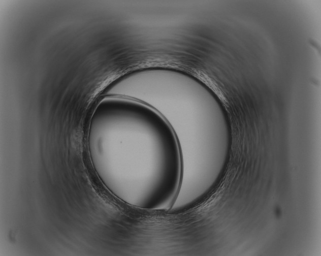 X0000091960530200709061102