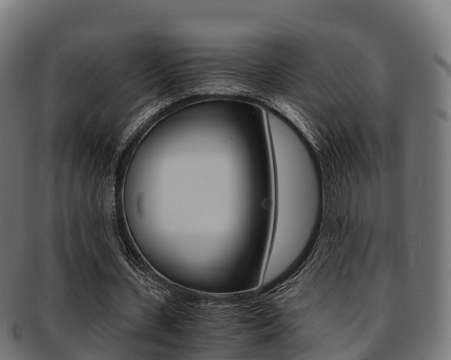 X0000091960531200709061102