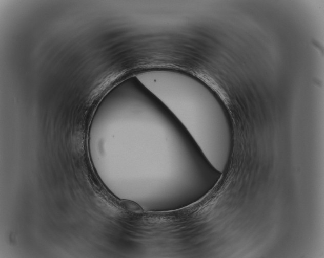 X0000091960533200709061102