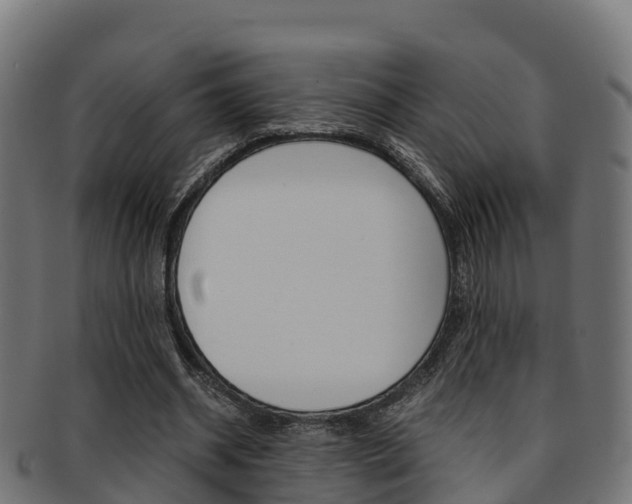X0000091960534200709061102