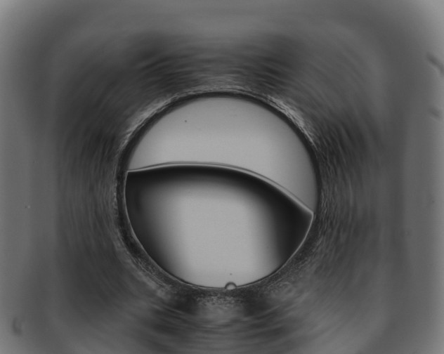 X0000091960535200709061102
