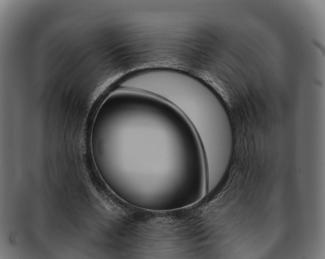 X0000091960536200709061102