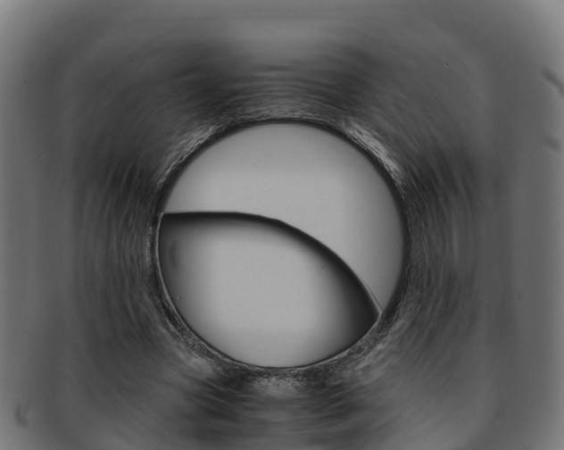 X0000091960537200709061102