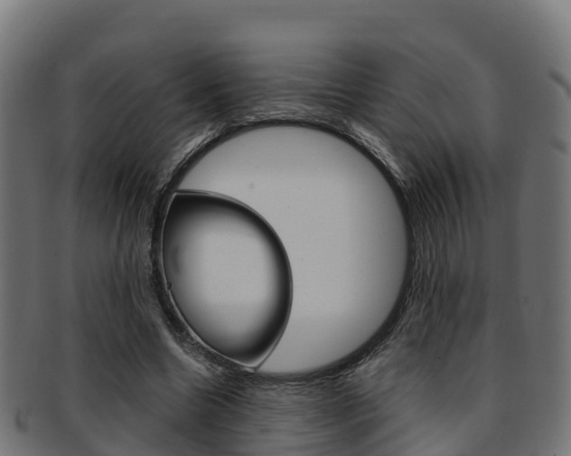 X0000091960538200709061102