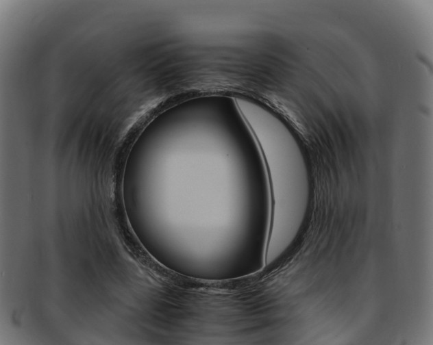 X0000091960539200709061102