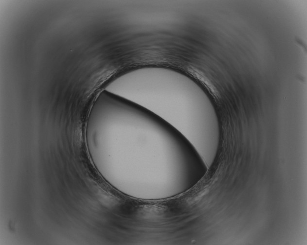 X0000091960541200709061102