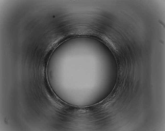 X0000091960542200709061102