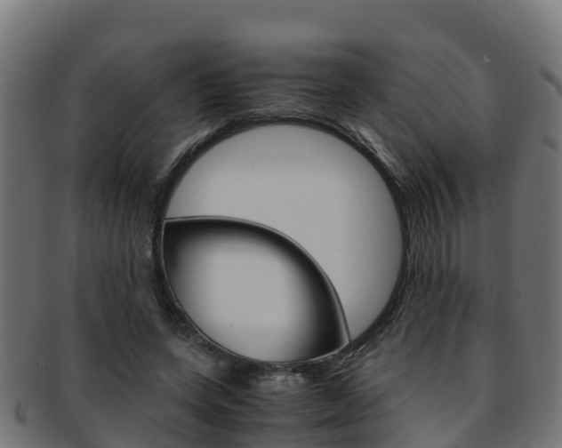 X0000091960543200709061102
