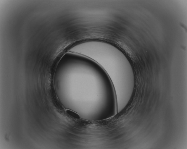 X0000091960544200709061102
